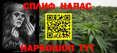 крисы Бердск
