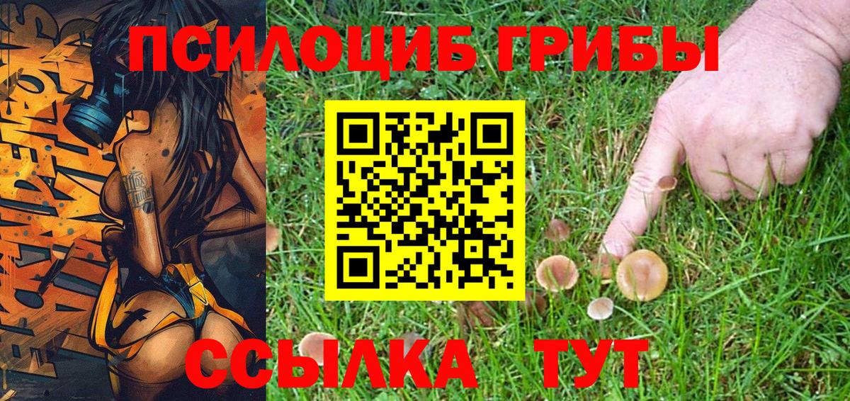 Псилоцибиновые грибы Psilocybe  дарнет шоп  Псилоцибиновые грибы Magic Shrooms  Вятские Поляны  Вход с VPN 